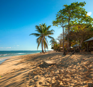 Que faire au Moule en Guadeloupe ?