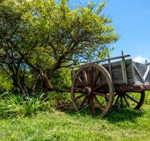 Top 3 des hébergements à Morne-à-l’Eau