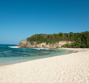 TOP 5 des plus belles plages du Nord Guadeloupe