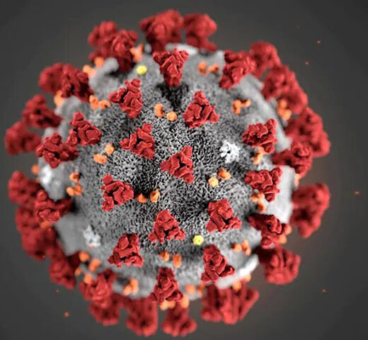 Représentation du coronavirus