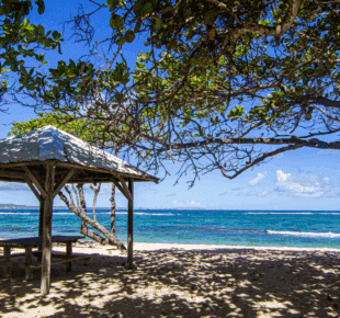 Que faire lors d’un week-end au Nord de la Guadeloupe ? Notre mini guide